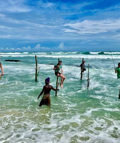 Optioneel paalvissen in Sri Lanka